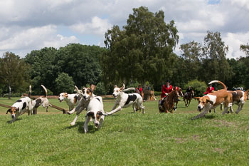 08 - Show Luhmuehlen 08 - Show Luhmuehlen
