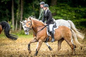 10 - Jagd Rohlfshagen 10 - Jagd Rohlfshagen