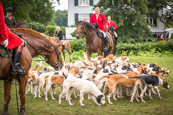 10 - Jagd Rohlfshagen 10 - Jagd Rohlfshagen