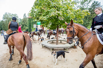15 - Jugendjagd Marienau 15 - Jugendjagd Marienau