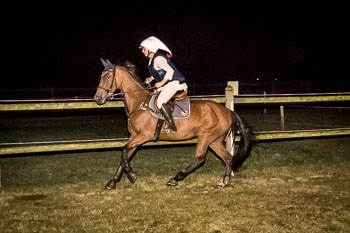 18 - Moonlight-Cup Schnede 18 - Moonlight-Cup Schnede