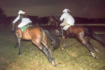 18 - Moonlight-Cup Schnede 18 - Moonlight-Cup Schnede