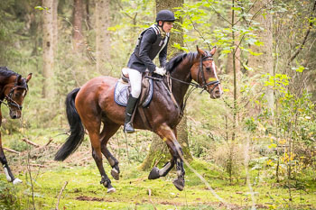 20 - Jagd Jesteburg 20 - Jagd Jesteburg