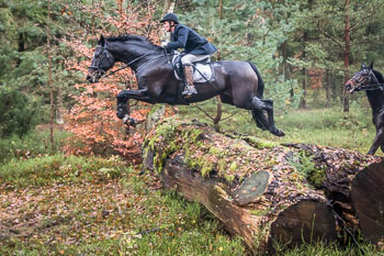 26 - Jagd Ehlbeck 26 - Jagd Ehlbeck