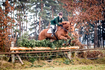 28 - Jagd Toppenstedt 28 - Jagd Toppenstedt