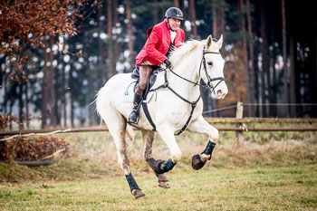 28 - Jagd Toppenstedt 28 - Jagd Toppenstedt