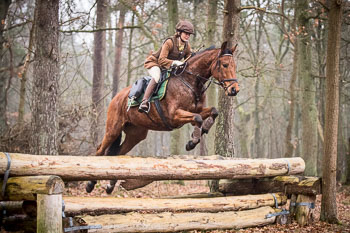 30 - Jagd Wense 30 - Jagd Wense
