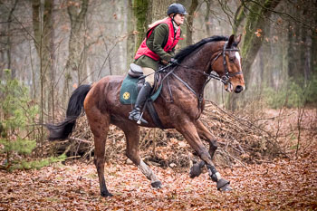 30 - Jagd Wense 30 - Jagd Wense