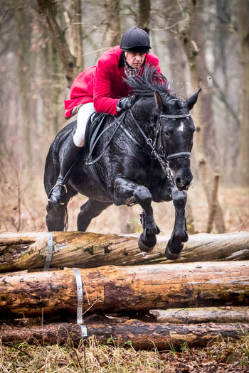 30 - Jagd Wense 30 - Jagd Wense