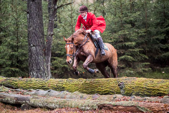 31 - Jagd Ehlbeck 31 - Jagd Ehlbeck