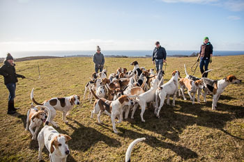 33 - Walking the Hounds 33 - Walking the Hounds