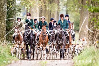 13 - Damenjagd Gut Bsthorst 13 - Damenjagd Gut Bsthorst