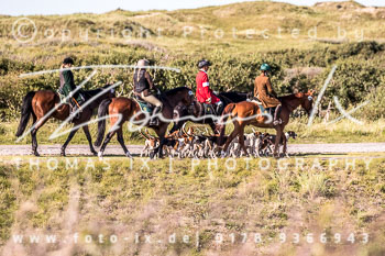 16 Jagd Norderney 16 Jagd Norderney