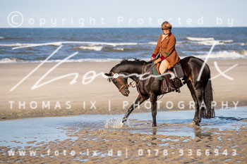 16 Jagd Norderney 16 Jagd Norderney
