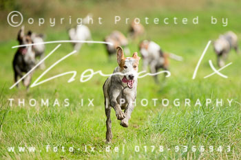 17 Jugendjagd Basthorst 17 Jugendjagd Basthorst