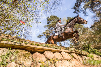 07 - CIC1* Luhmühlen 07 - CIC1* Luhmühlen