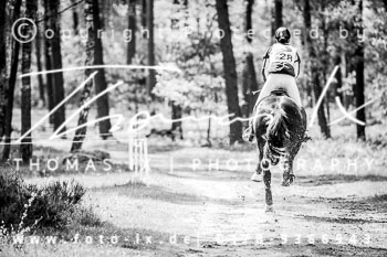 16 - Luhmühlen CIC* 16 - Luhmühlen CIC*