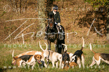 01 - Schleppjagd Wiulfsen