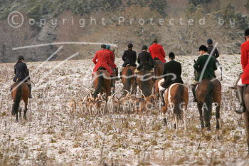 02 - Boxing Day Ollsen