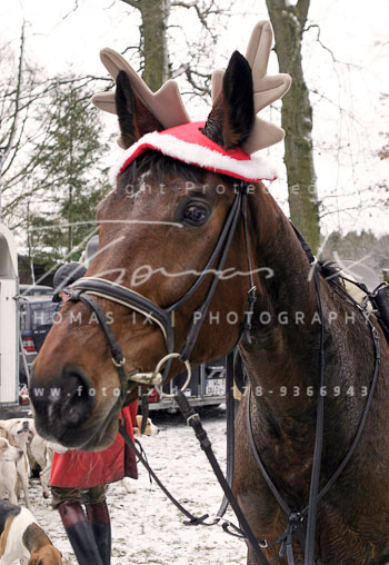 02 - Boxing Day Ollsen