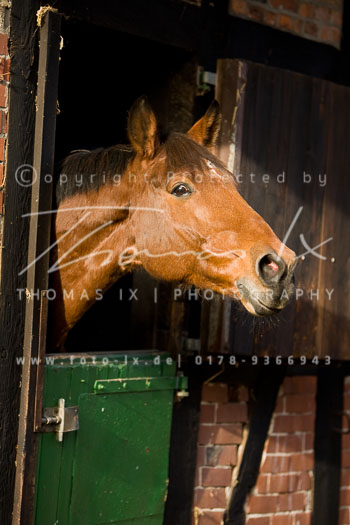 01 - Sudermühler Herbstjagd