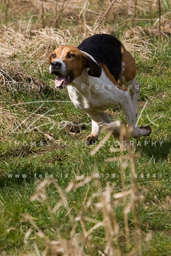 02 - Triple Meet Verden