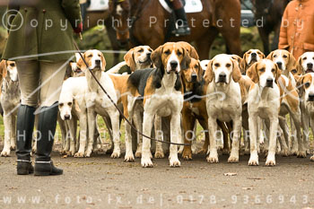 05 - Boxing Day Ollsen