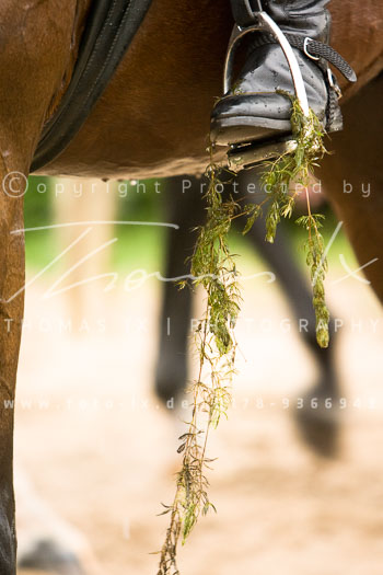 01 - Meutearbeit Horn