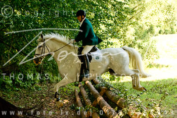 02 - Jagd Steinhorst