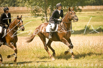 02 - Jagd Steinhorst