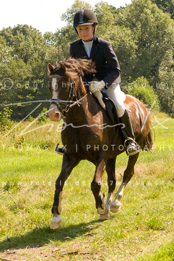 02 - Jagd Steinhorst