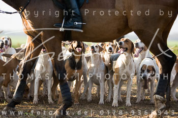 07 - Meutearbeit Ehlbeck
