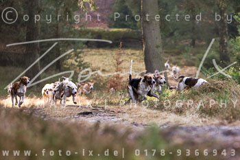 07 - Meutearbeit Ehlbeck