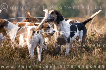 07 - Meutearbeit Ehlbeck