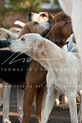 08 - Boxing Day Ollsen