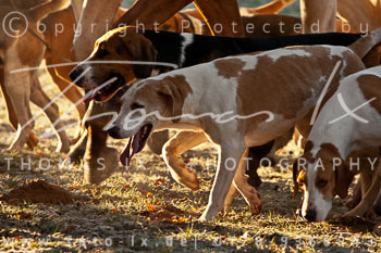 08 - Boxing Day Ollsen