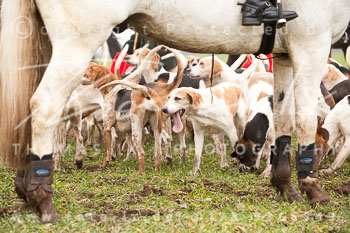 01 - Meutearbeit Wulfsen