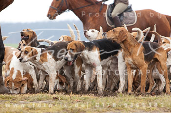 01 - Meutearbeit Wulfsen