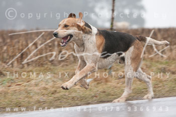 02 - Meutearbeit Bötersen