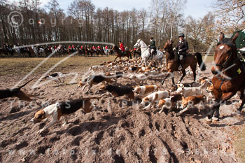 05 Triple Meet Sudermühlen