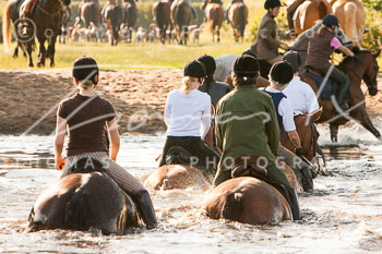 07 - Meutearbeit Horn