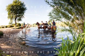 07 - Meutearbeit Horn