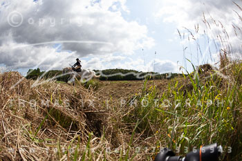 08 - Jagd Steinhorst