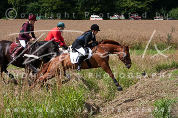 08 - Jagd Steinhorst