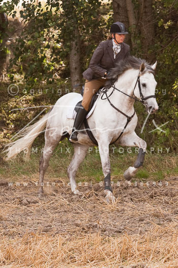 10 - Jahgd Rohlfshagen