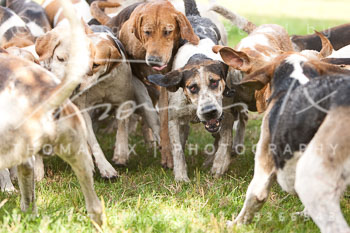 10 - Jahgd Rohlfshagen