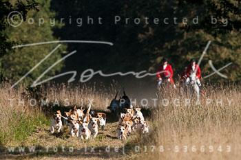 12 - Jagd Kellinghusen