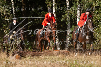 12 - Jagd Kellinghusen