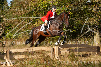 12 - Jagd Kellinghusen 12 - Jagd Kellinghusen