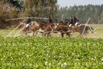 13 - Jagd Wetzen